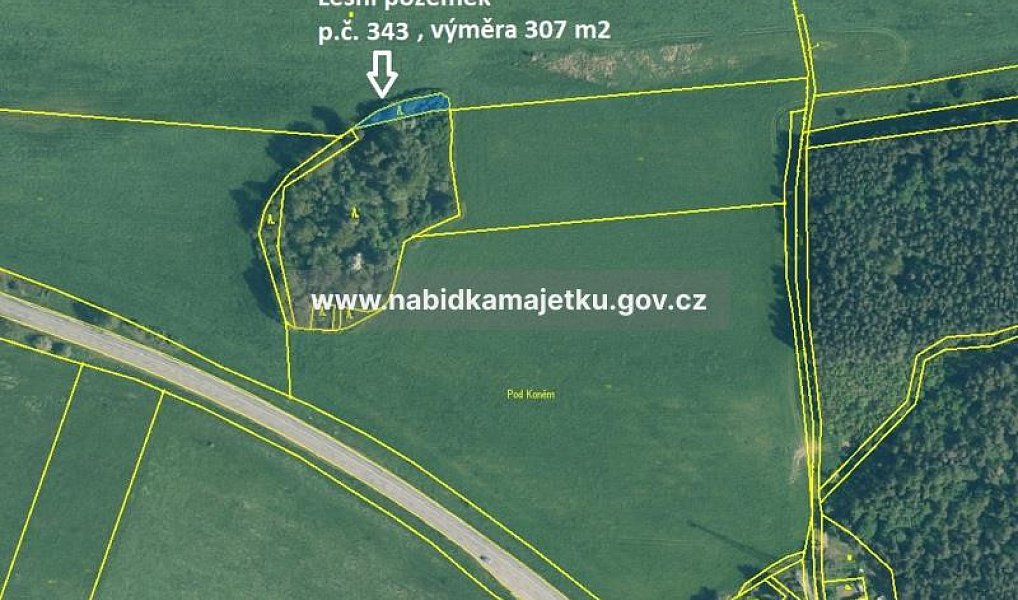 Prodej lesa 433 m², Černošín – náhled fotky 2