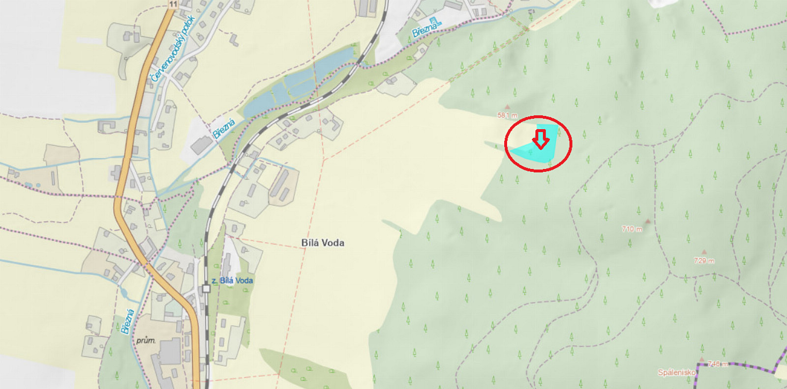 Prodej lesa 5 759 m²
