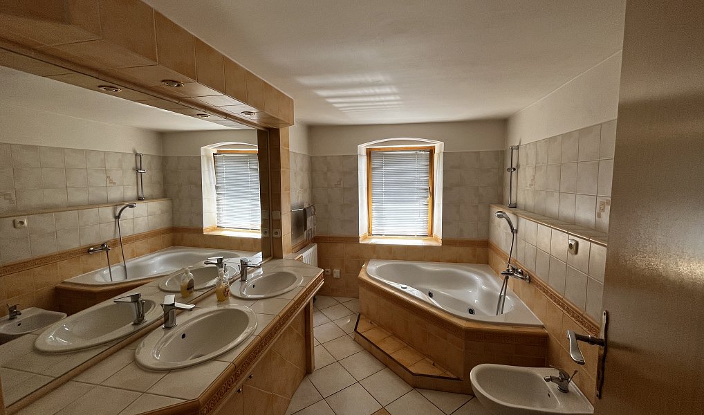 Prodej vily 460 m² s pozemkem 1 773 m², Podhradí – náhled fotky 18