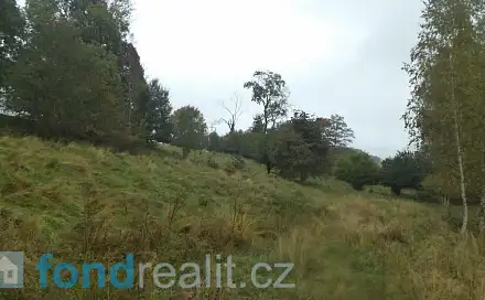 Prodej pole 11 994 m², Chřibská, okres Děčín
