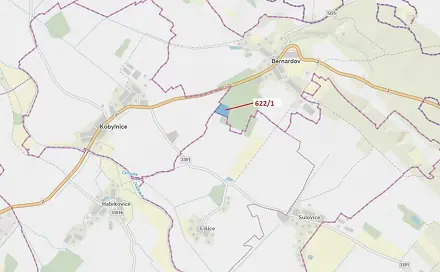 Dražba lesa 12 017 m², Bernardov