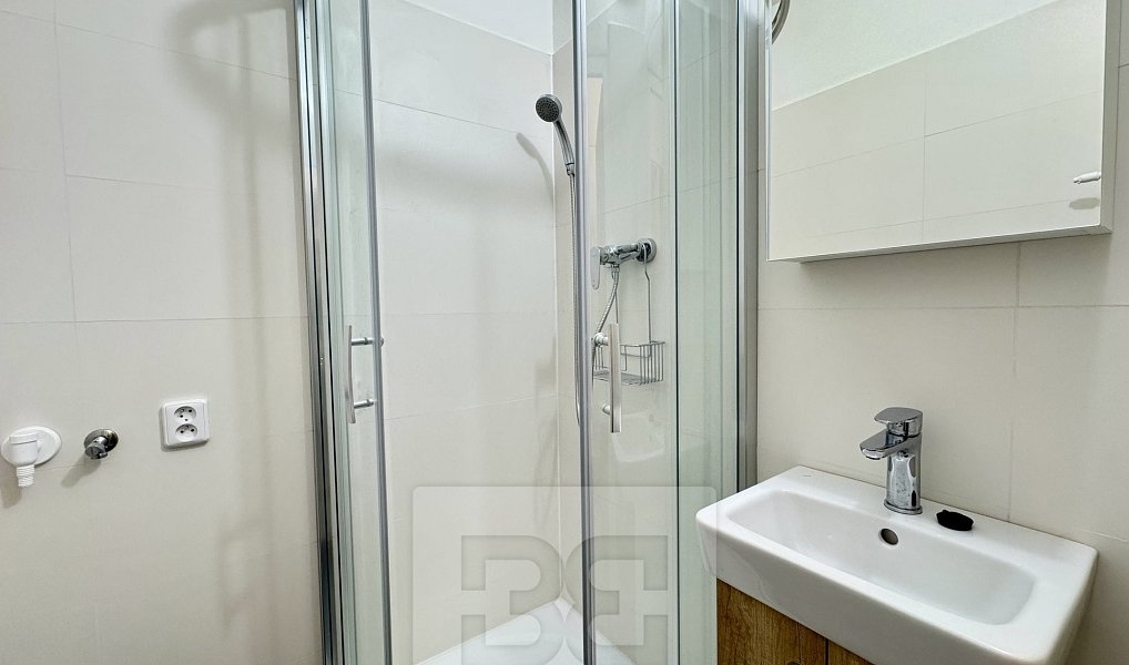 Pronájem bytu 1+1 37 m², Brno – náhled fotky 10