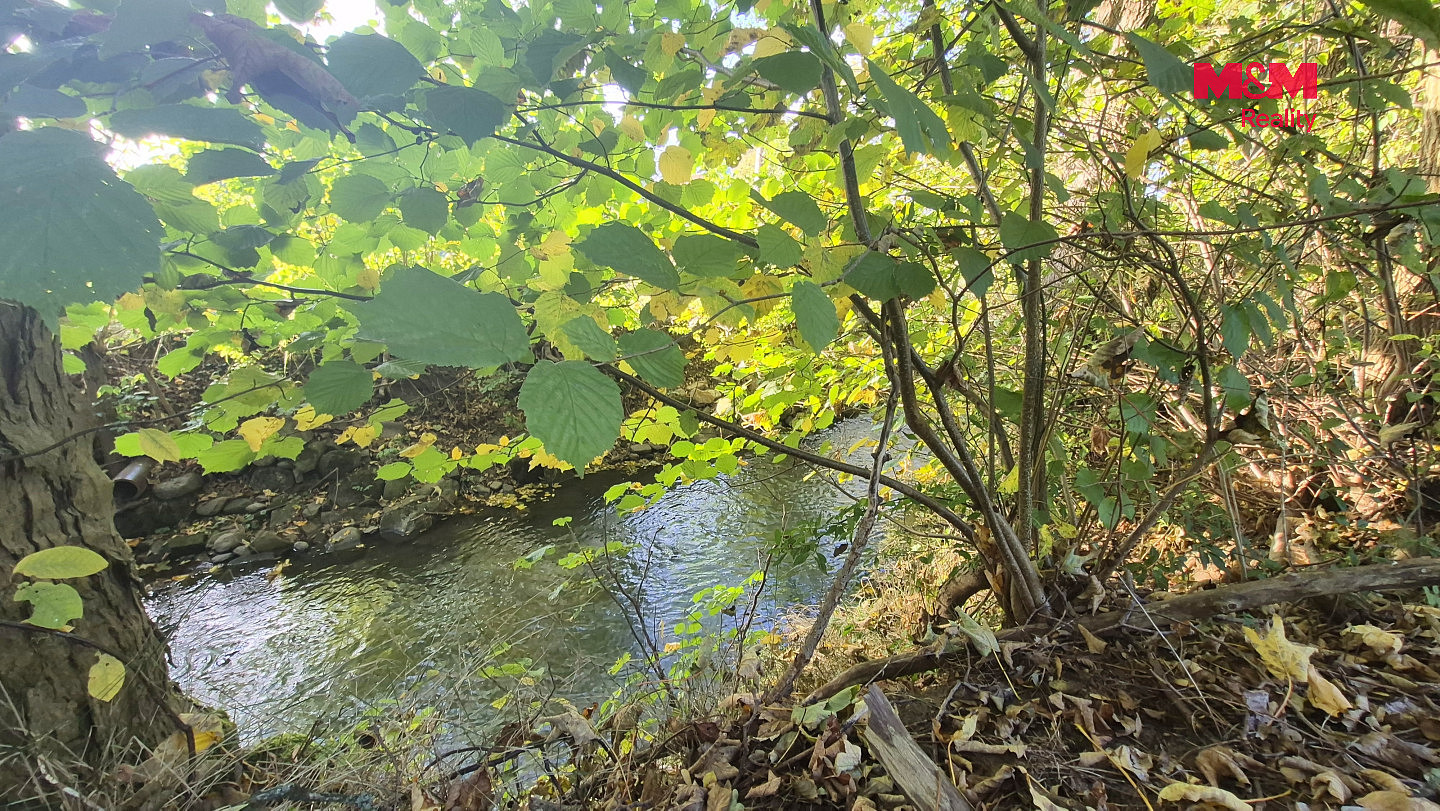 Fotka 7 z 10