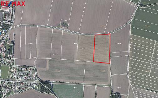 Prodej pole 34 185 m², Bobnice, okres Nymburk