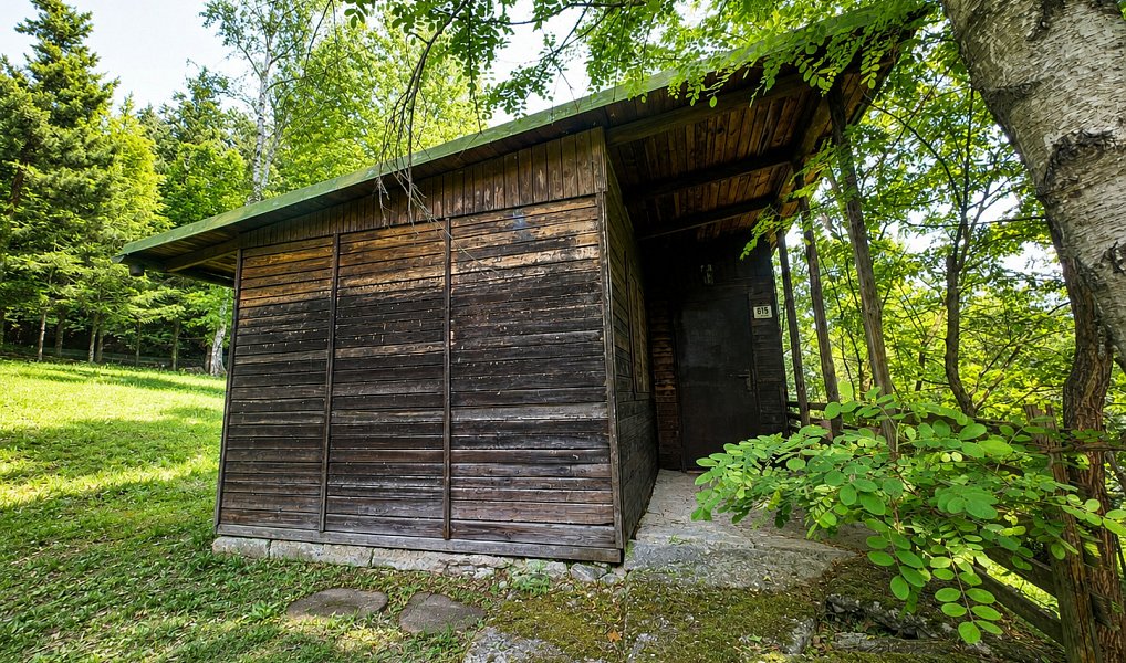 Prodej chaty/chalupy 21 m² s pozemkem 358 m², Tvarožná Lhota – fotka 1 z 12