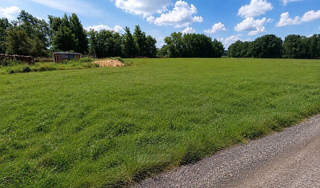 Prodej zahrady 723 m², Dubné – náhled fotky 3