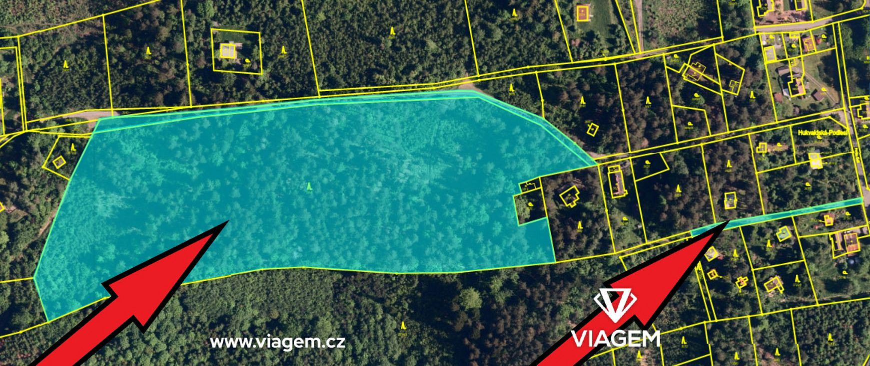 Prodej lesa 15 401 m² – fotografie 2