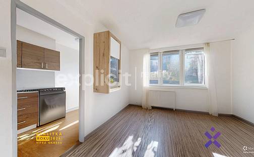 Pronájem bytu 1+1 39 m², Hluboká, Zlín