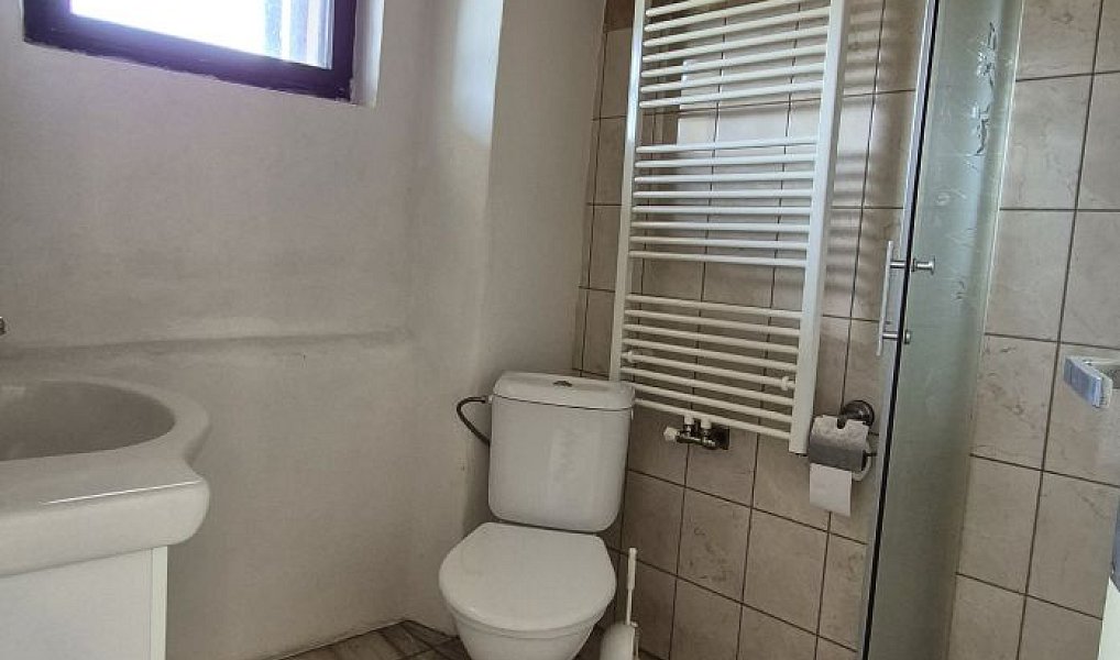 Prodej domu 220 m² s pozemkem 1 038 m², Radnice – náhled fotky 15