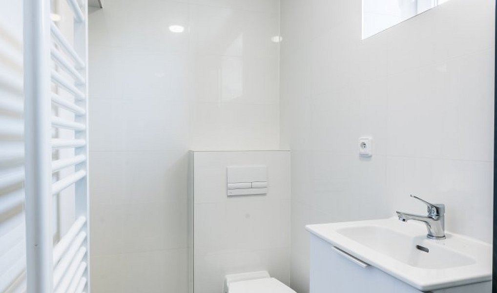 Prodej bytu 1+1 45 m², Frýdek-Místek – náhled fotky 5