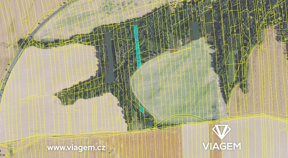 Prodej lesa 1 437 m²