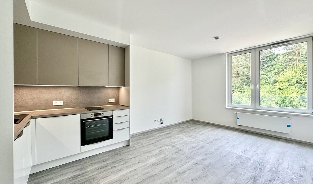 Prodej bytu 1+kk 31 m², Český Krumlov – náhled fotky 3