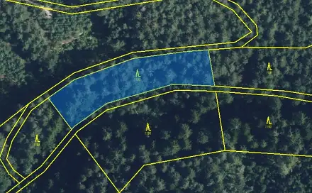 Prodej lesa 5 021 m², Proseč, okres Chrudim