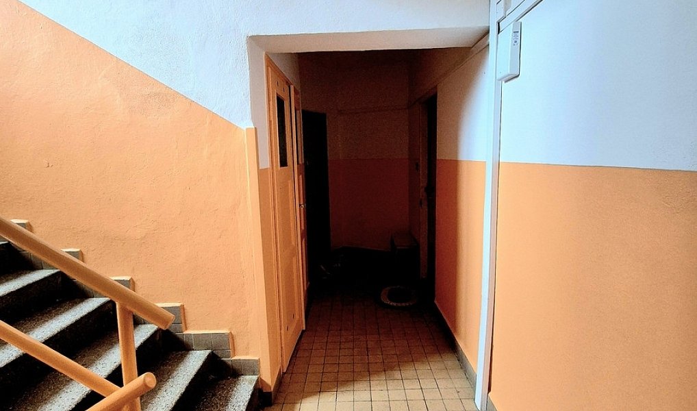 Prodej bytu 2+1 58 m², Plzeň – náhled fotky 15