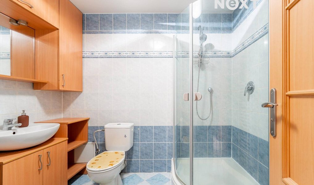 Pronájem bytu 2+kk 54 m², Praha – náhled fotky 11