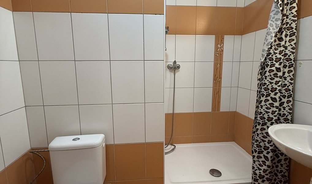 Pronájem bytu 2+1 50 m², Strašice – náhled fotky 13