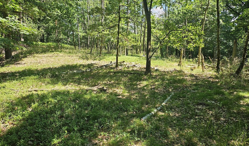 Prodej louky 16 229 m², Boseň – náhled fotky 8