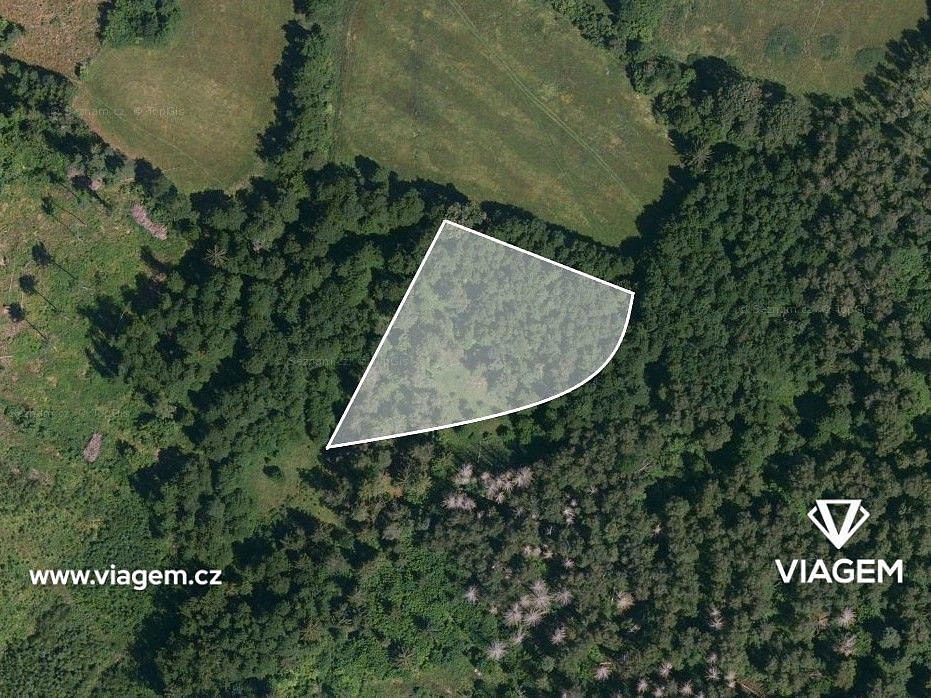 Prodej lesa 1 306 m² – fotografie 2