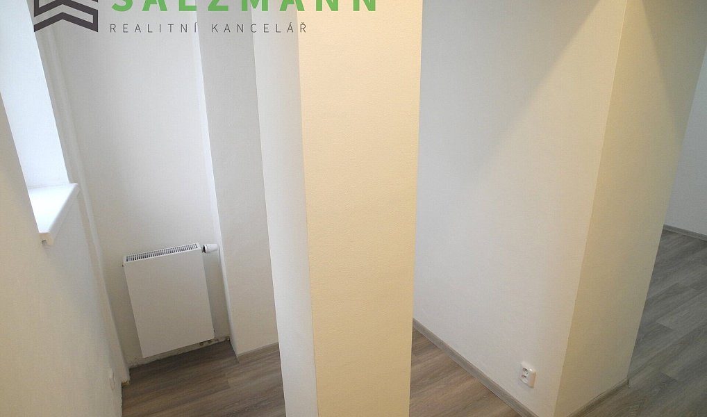 Pronájem bytu 3+kk 79 m², Plzeň – náhled fotky 14