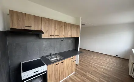 Pronájem bytu 1+1 33 m², Javorová, Most