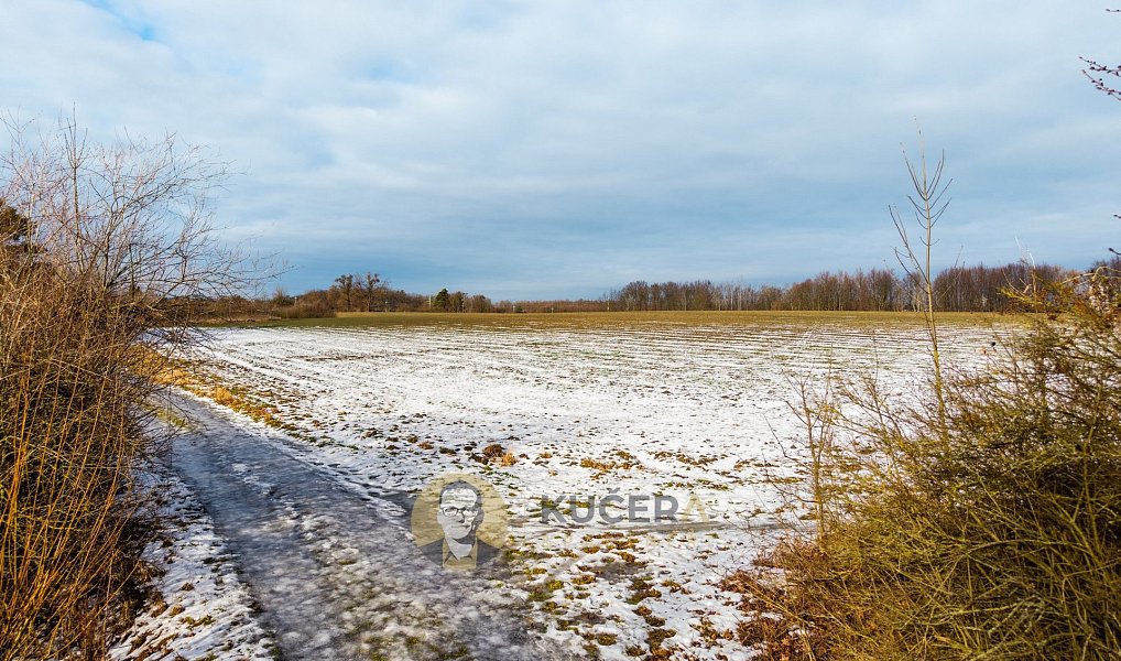 Prodej stavebního pozemku 30 928 m², Česká Skalice – náhled fotky 7