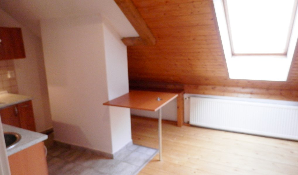 Pronájem bytu 1+1 38 m², Praha – náhled fotky 3