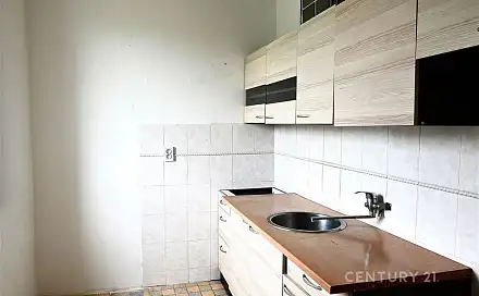 Prodej bytu 1+1 39 m², V Rumunsku, Chlumčany, okres Plzeň-Jih