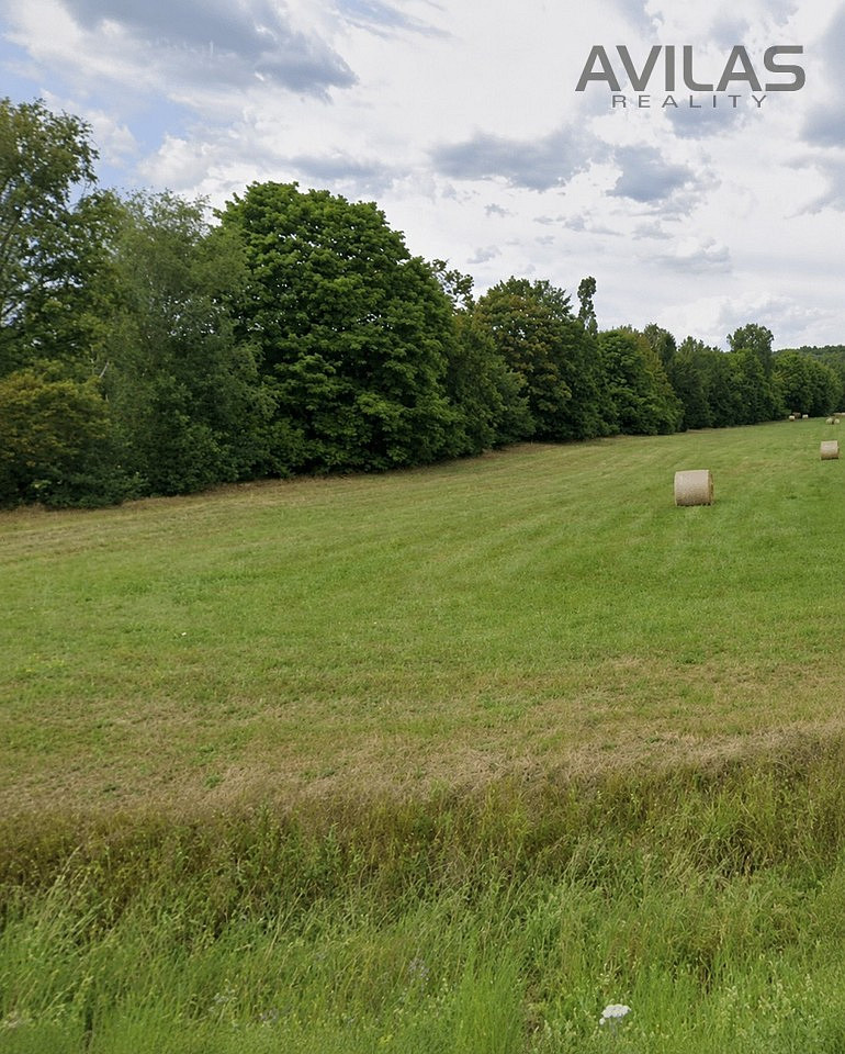 Pronájem louky 7 945 m²