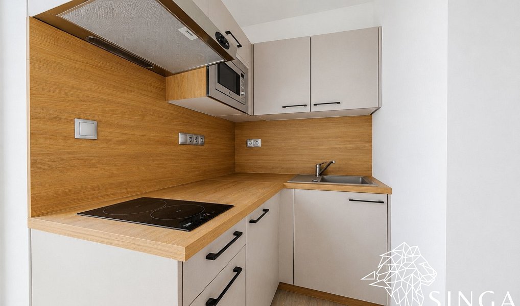 Pronájem bytu 1+kk 28 m², Prostějov – náhled fotky 2