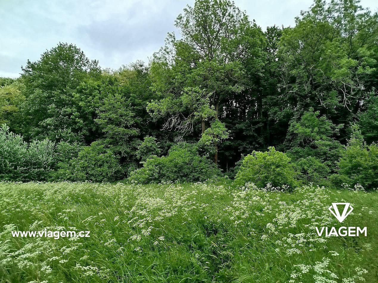 Pole 2 633 m² – pohled 4