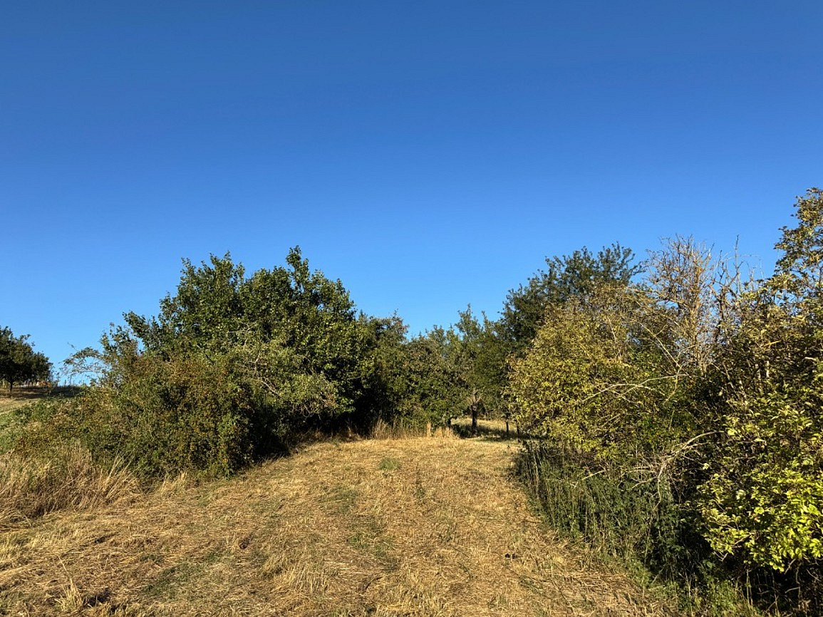 Prodej pole 3 478 m²