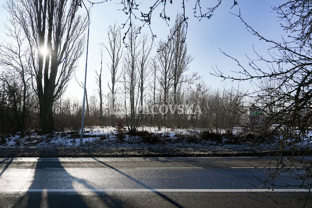 Prodej komerčního pozemku 1 642 m² – pohled 5