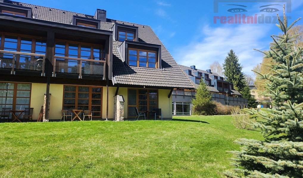 Prodej bytu 1+kk 55 m², Říčky v Orlických horách – náhled fotky 26