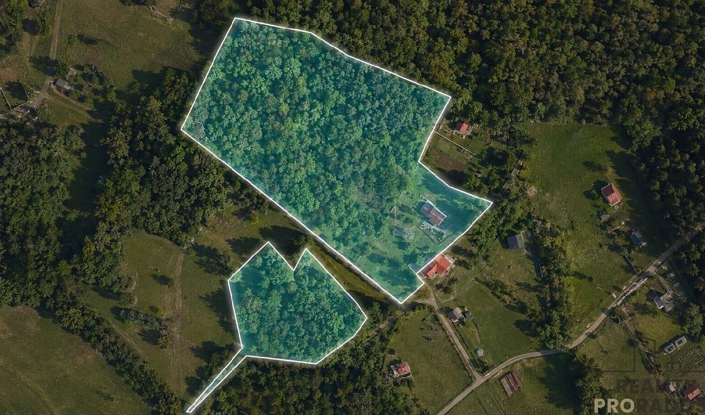 Prodej chaty/chalupy 90 m² s pozemkem 14 368 m², Bystřice – náhled fotky 24