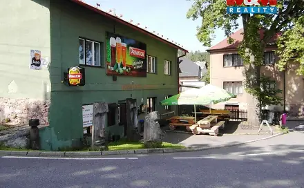 Prodej domu 450 m² s pozemkem 596 m², Česká Čermná, okres Náchod
