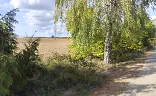 Ostatní
