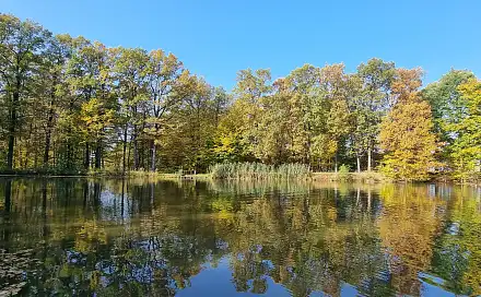 Prodej vodní plochy 41 000 m², Dolní Roveň - Litětiny, okres Pardubice