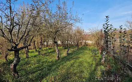Prodej stavebního pozemku 508 m², Čebín, okres Brno-venkov