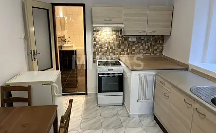 Pronájem bytu 1+1 50 m²