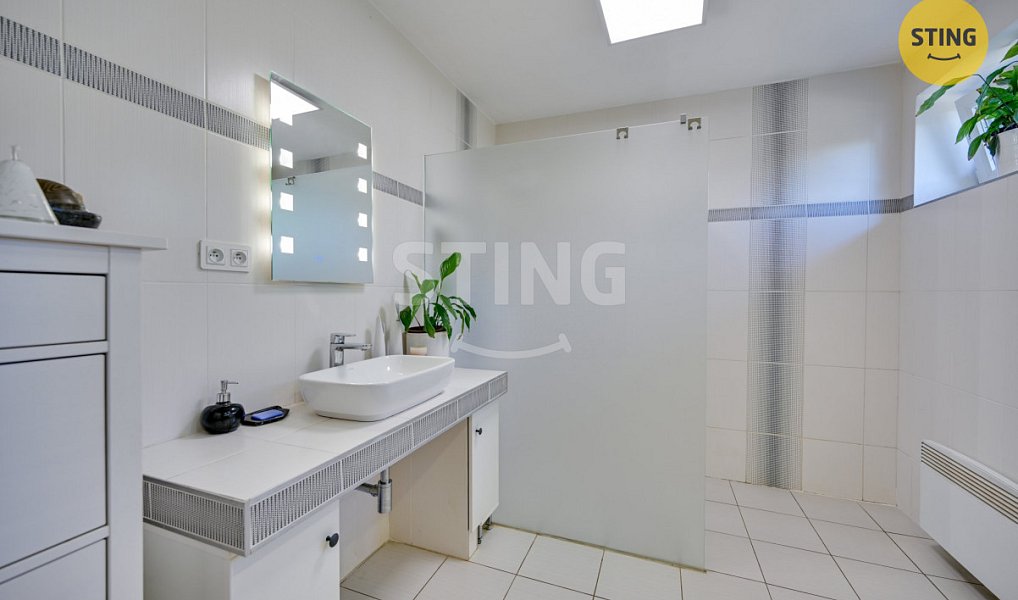Prodej domu 250 m² s pozemkem 933 m², Velká Bíteš – náhled fotky 17