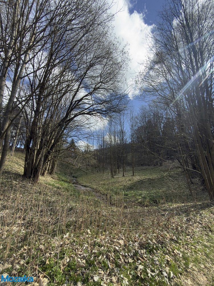 Prodej louky 9 974 m²