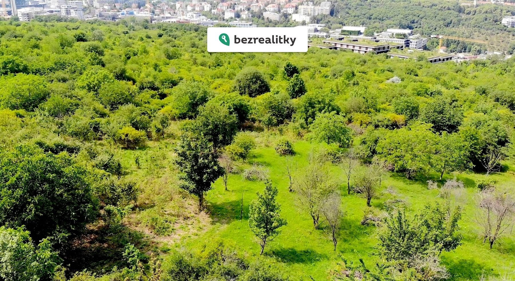 Prodej louky 18 966 m² — photo 2