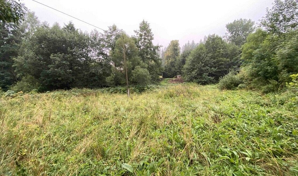Prodej pozemku 1 758 m², Andělská Hora – náhled fotky 4