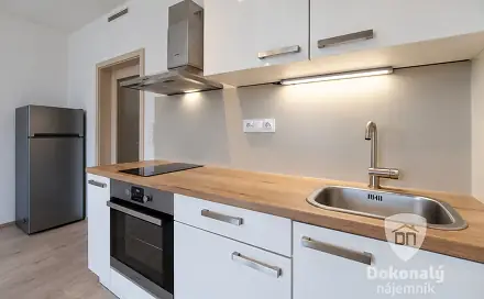 Pronájem bytu 1+kk 30 m²