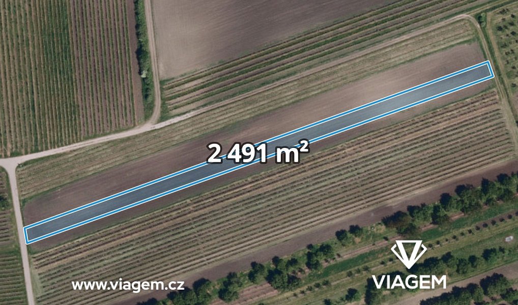 Prodej pole 2 491 m², Velké Pavlovice – fotka 1 z 5