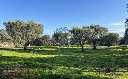 Prodej pozemku 6 000 m², Province of Taranto, Itálie