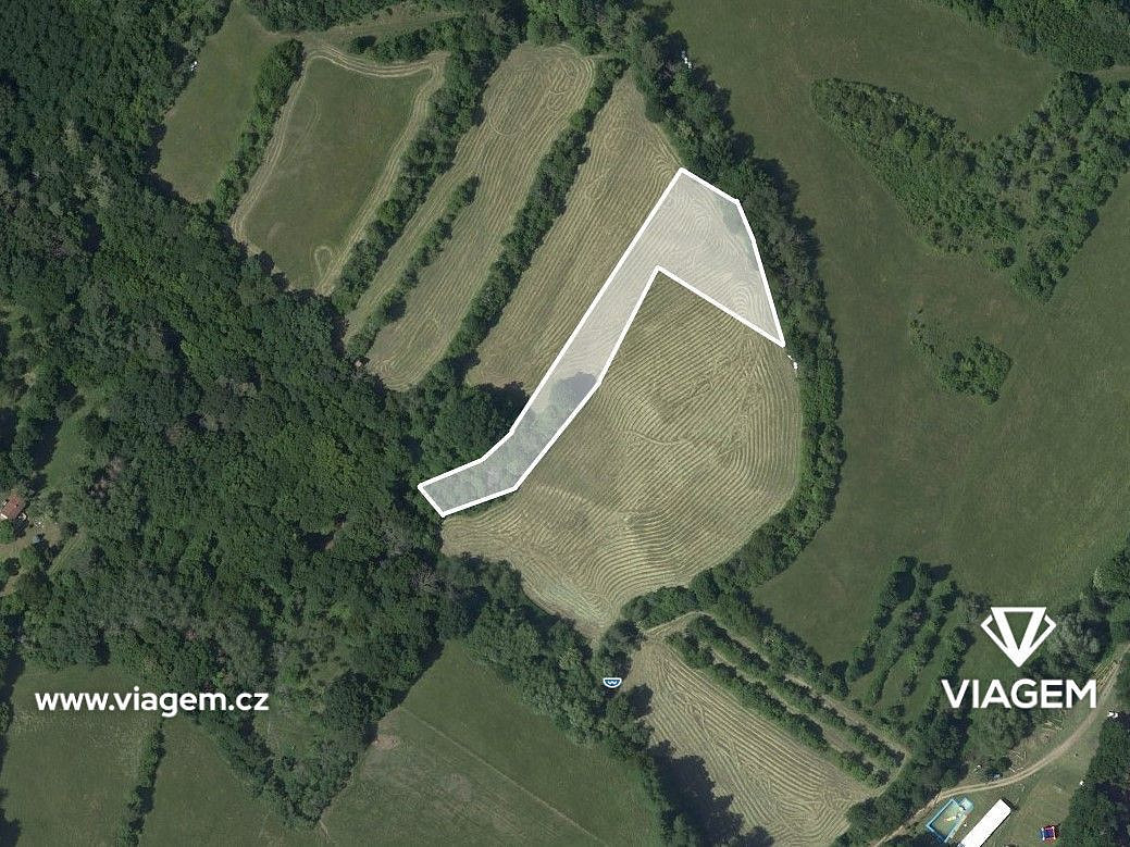 Prodej pole 3 862 m² – fotografie 2
