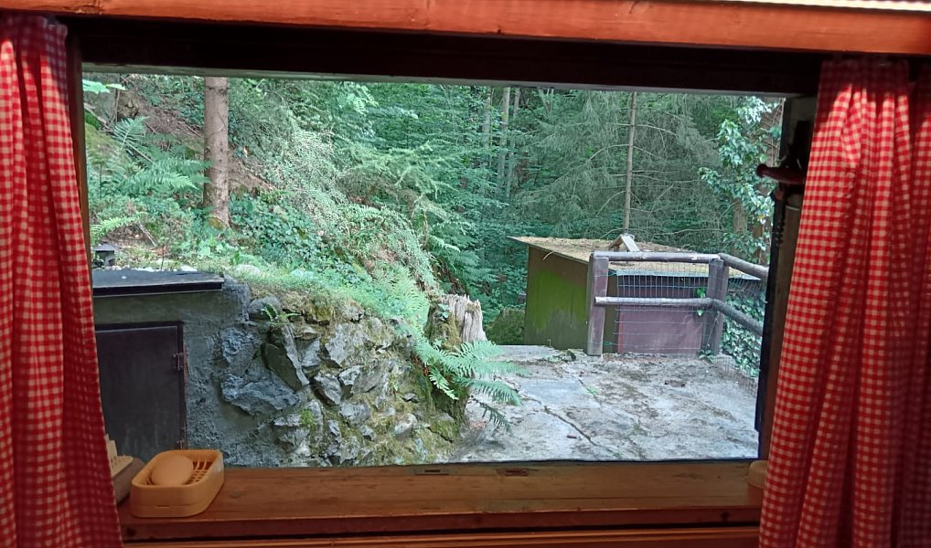 Prodej chaty/chalupy 50 m² s pozemkem 21 m², Kamenný Přívoz – náhled fotky 11