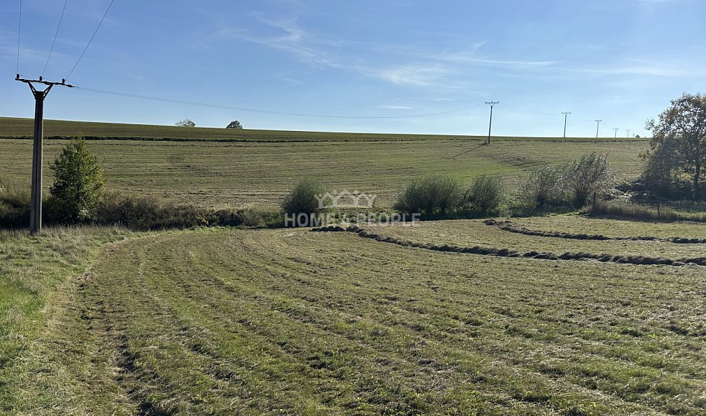 Prodej stavebního pozemku 1 244 m², Černé Voděrady – náhled fotky 8