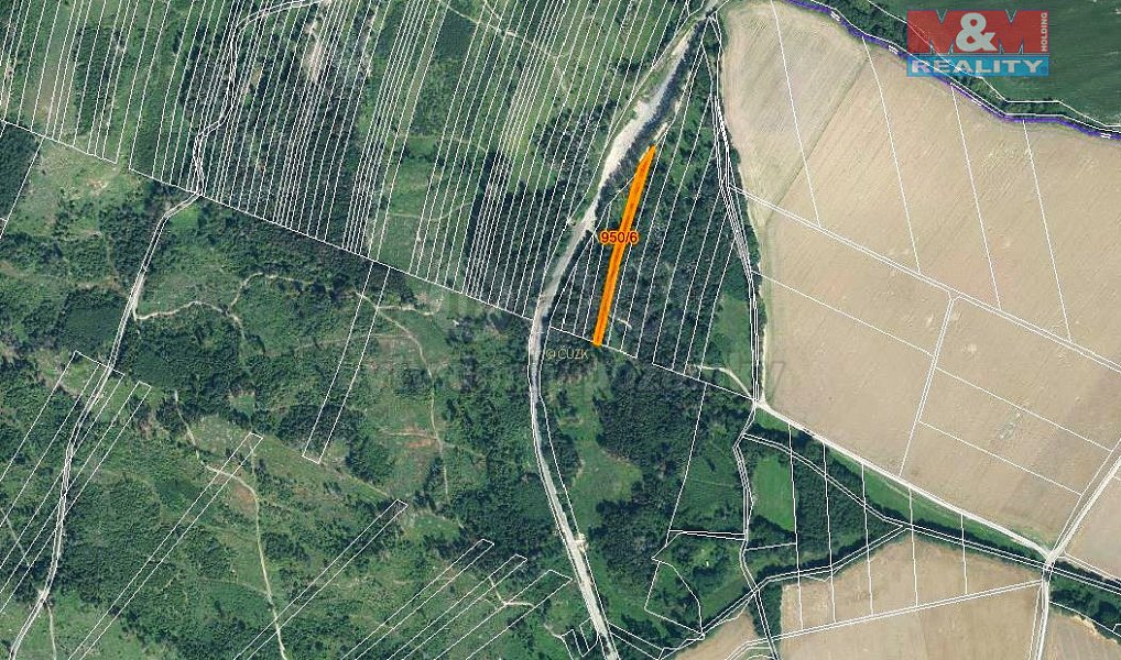 Prodej lesa 5 346 m², Nová Hradečná – náhled fotky 4
